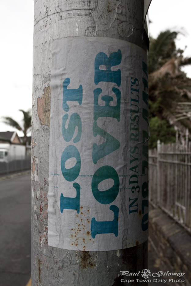Lost Lover Cape Town Daily Photo