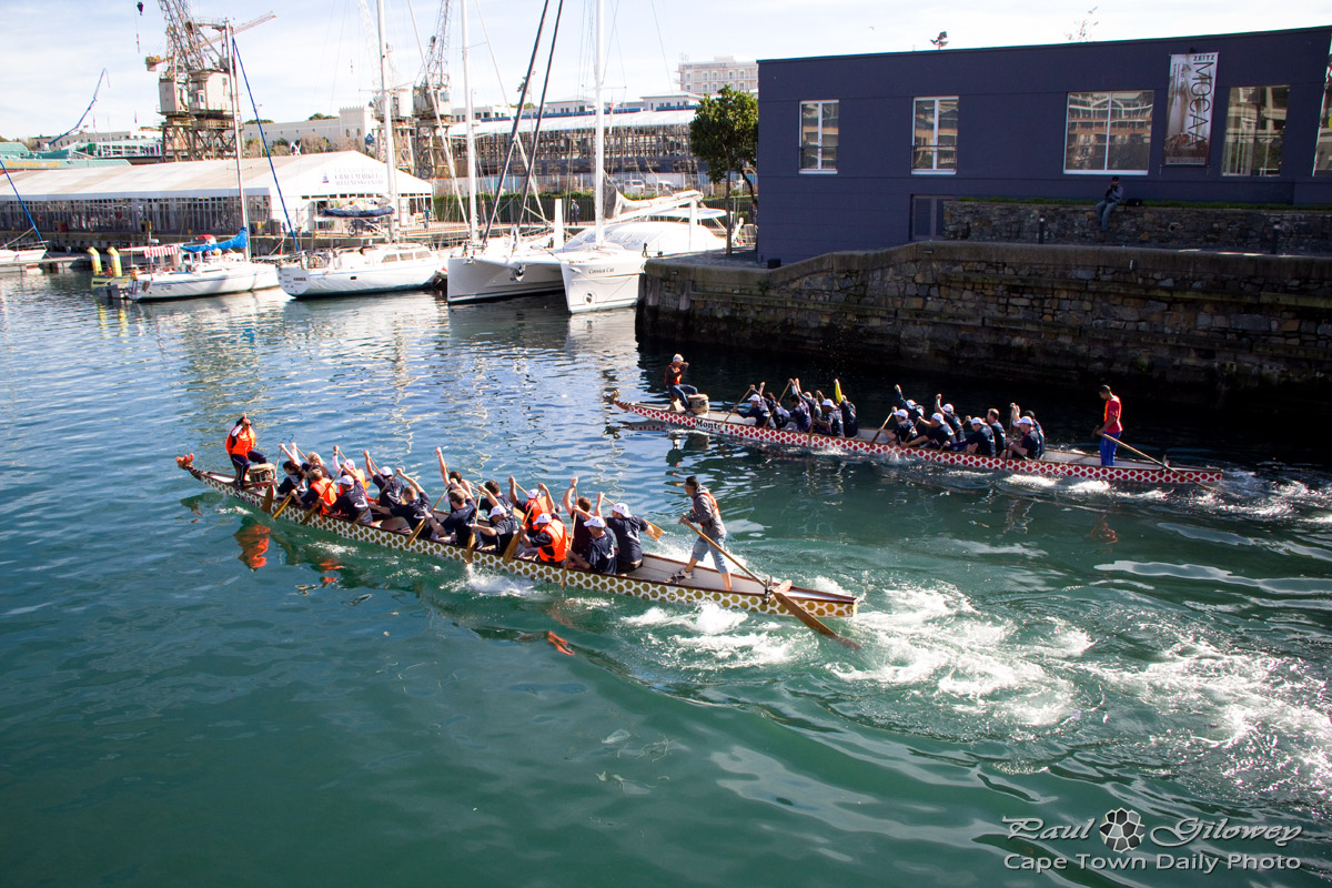 Dragon boats in action